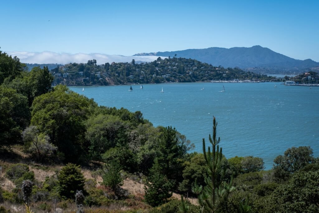 A beautiful view of sailboats on Richardson Bay with Marin County hills in the background. SEO For Homebuilders in the bay area, ca.