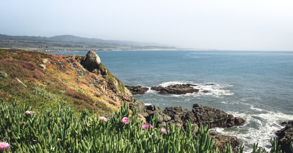 Beautiful view of the California coastline with cliffs, ocean, and blooming wildflowers.